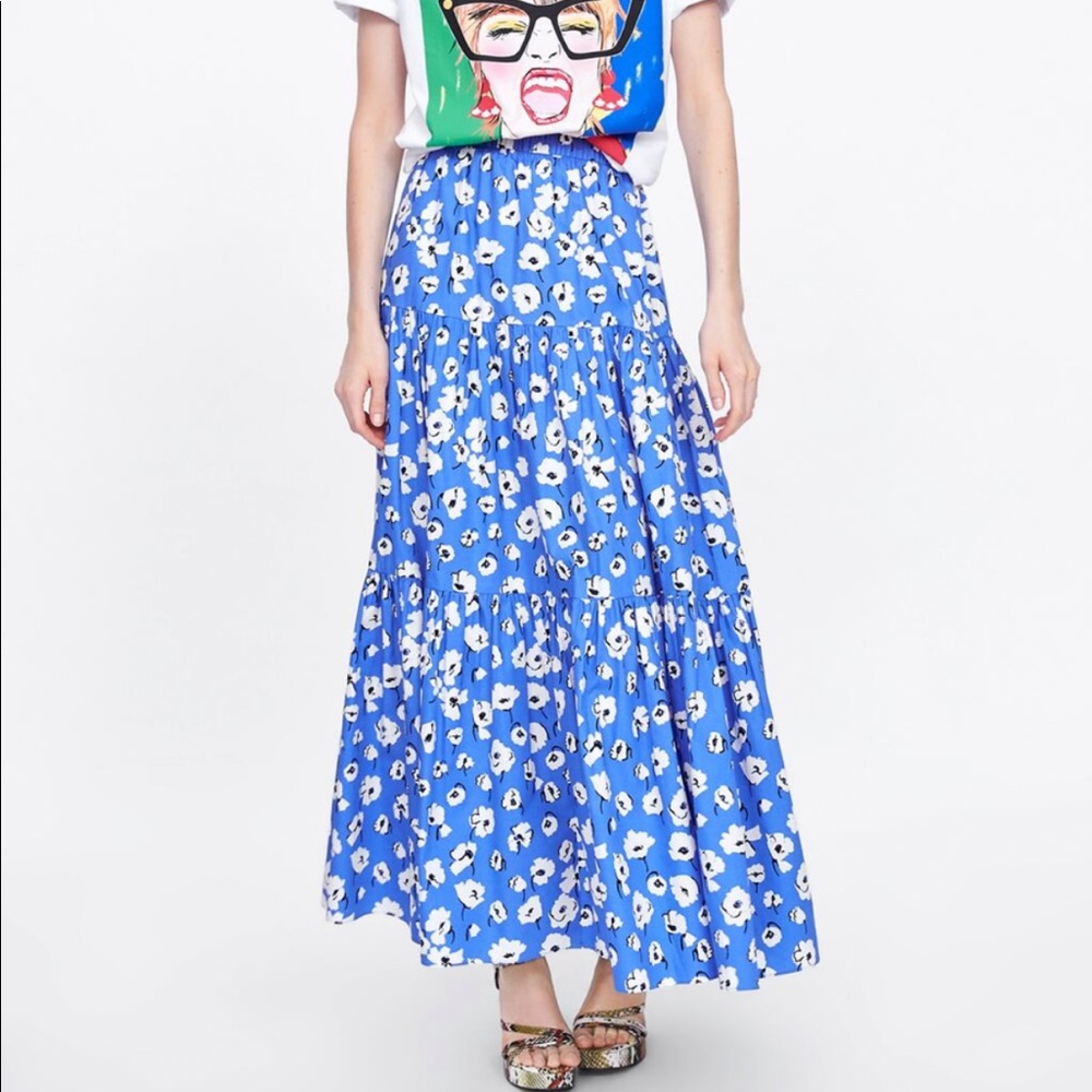 Zara maxi skirt